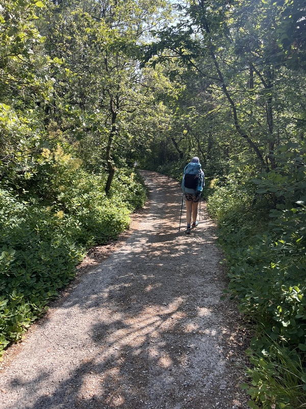 Verena geht folgt einen Weg durch einen Wald